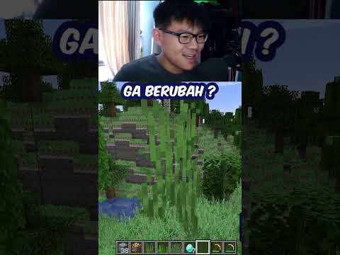 Video: Bagaimana Anda menghentikan bambu agar tidak tumbuh di Minecraft?