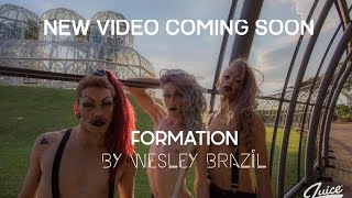 BEYONCÉ - FORMATION / WESLEY BRAZIL