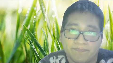 Week 15 - Task: Assignment – Free time activities we like and don