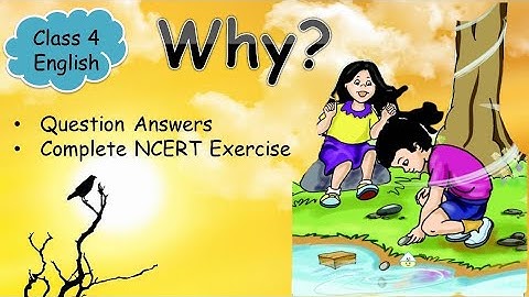 Why| Question Answers| Complete NCERT Exercise| Class 4 English| By Himanshi Sharma