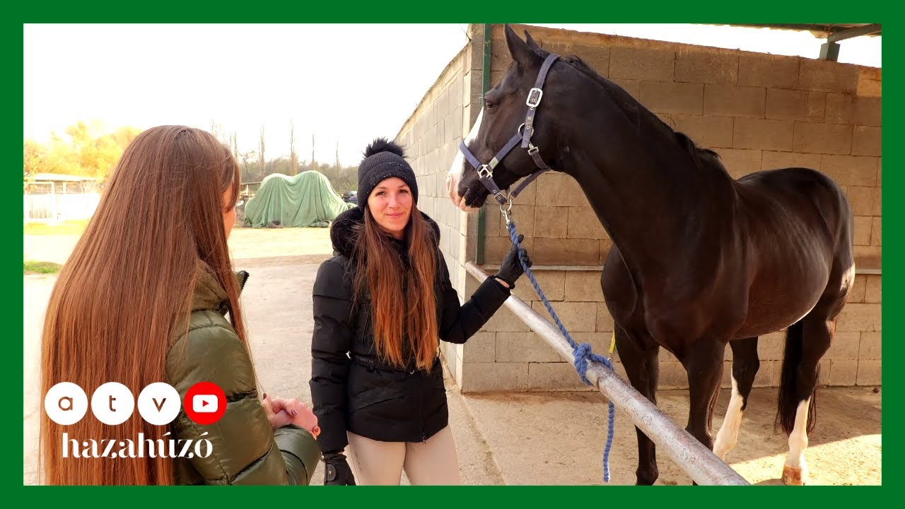 HAZAHÚZÓ – Tárnok felfedezése