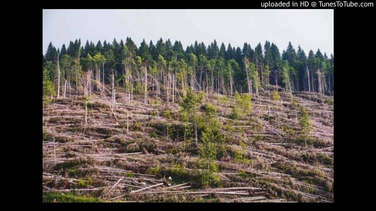 Martin Weitzman on Climate Change 06/01/2015