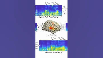 🤯 Scientist Reconstructed Pink Floyd Song From Brain Activity