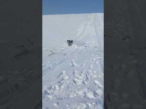 Болалигимиз утиб кетти