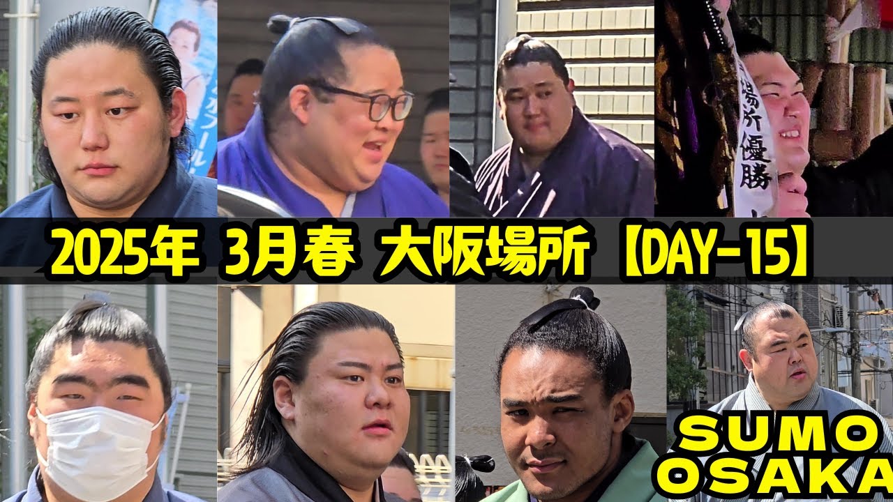 和やかな千秋楽の舞台裏❗ 大相撲 2025年3月23日 大阪場所 【SUMO in OSAKA DAY15】三田/大の里/狼雅/生田目/厚雅/熱海富士/尊富士/草野/翔傑/大喜翔