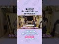 箸の持ち方 孫には注意しない 野々村友紀子
