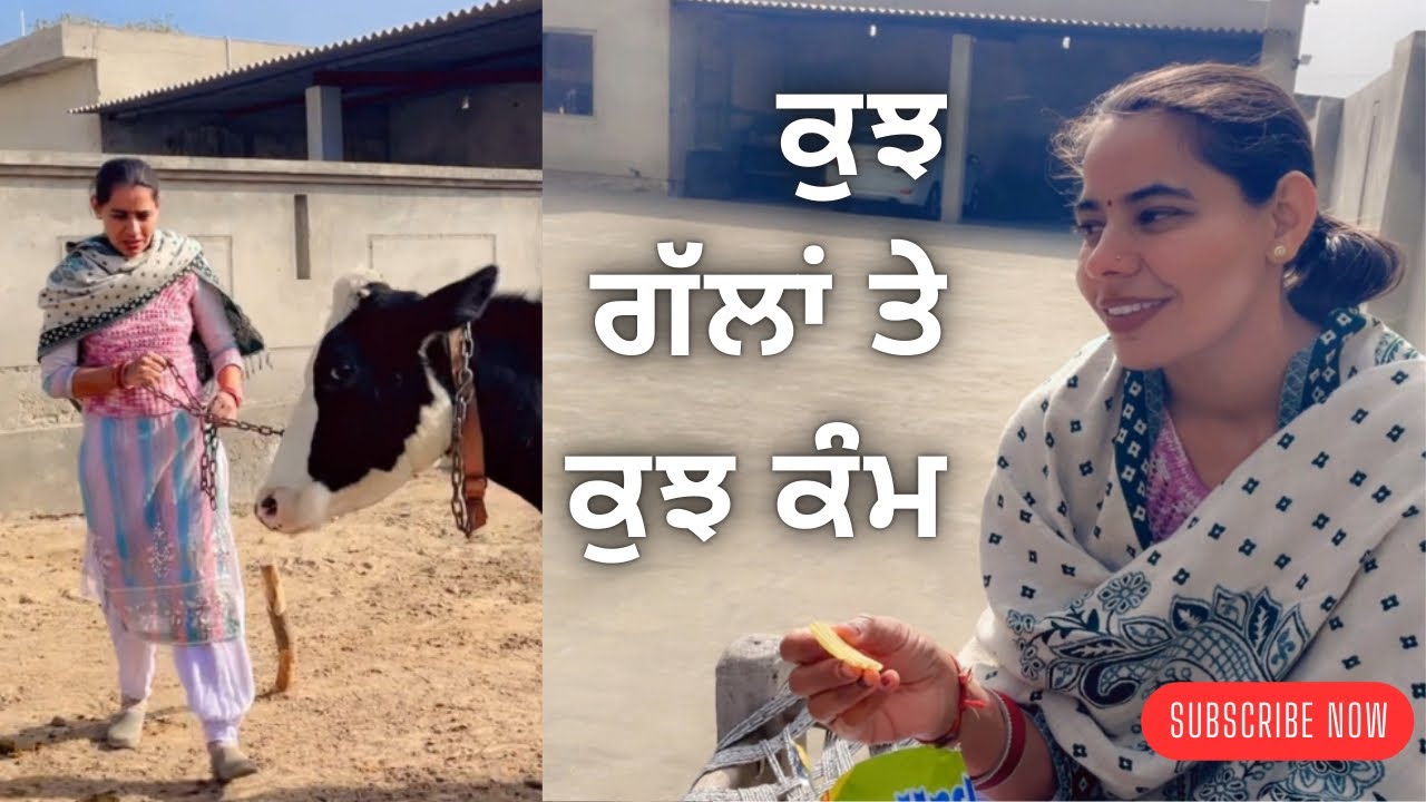 ਕੁਝ ਗੱਲਾਂ ਤੇ ਕੁਝ ਕੰਮ | Villagerfam 