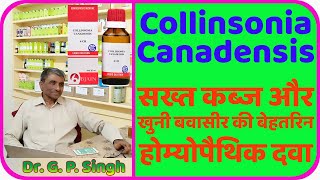 Collinsonia Canadensis | Collinsonia Canadensis 30 Uses And Benefits | Collinsonia For Piles