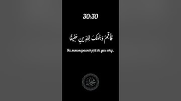 Islam Sobhi surah ar-Rum سورة الروم ٣٠  30 إسلام صبحي