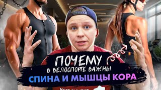 видео: Почему в велоспорте так важна спина и мышцы кора ?! картинка: Почему в велоспорте так важна спина и мышцы кора ?!