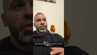 Free Flight Stage One