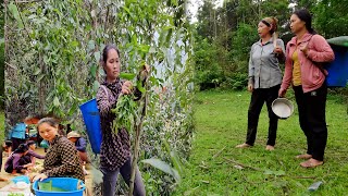 FULL VIDEO: "33-year-old infertile woman begins a new journey in an abandoned bamboo hut"