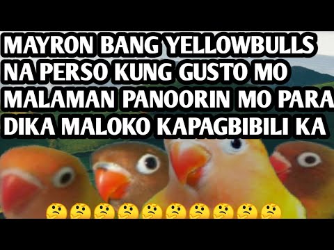 Video: Paano Makilala Ang Isang Mate?