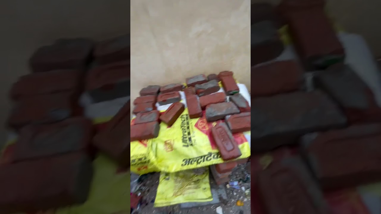 Save puppies 🐶 in rain 🌧️  