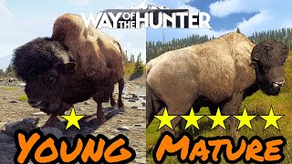 Nice method to get yourself a 5 star in Way of the Hunter!