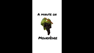 Mourvdre A One Minute Summary On History Growing And Winemaking shorts