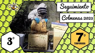 Apicultura 2023 - Seguimiento Nº3  🐝🧡🎥 25 de Febrero 2023