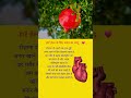 जानिए अनार के फायदे जो दिल ❤️ को बनाए रखें फिट 💪 #shorts #अनारकेफायदे #pomegranatebenefits #heart