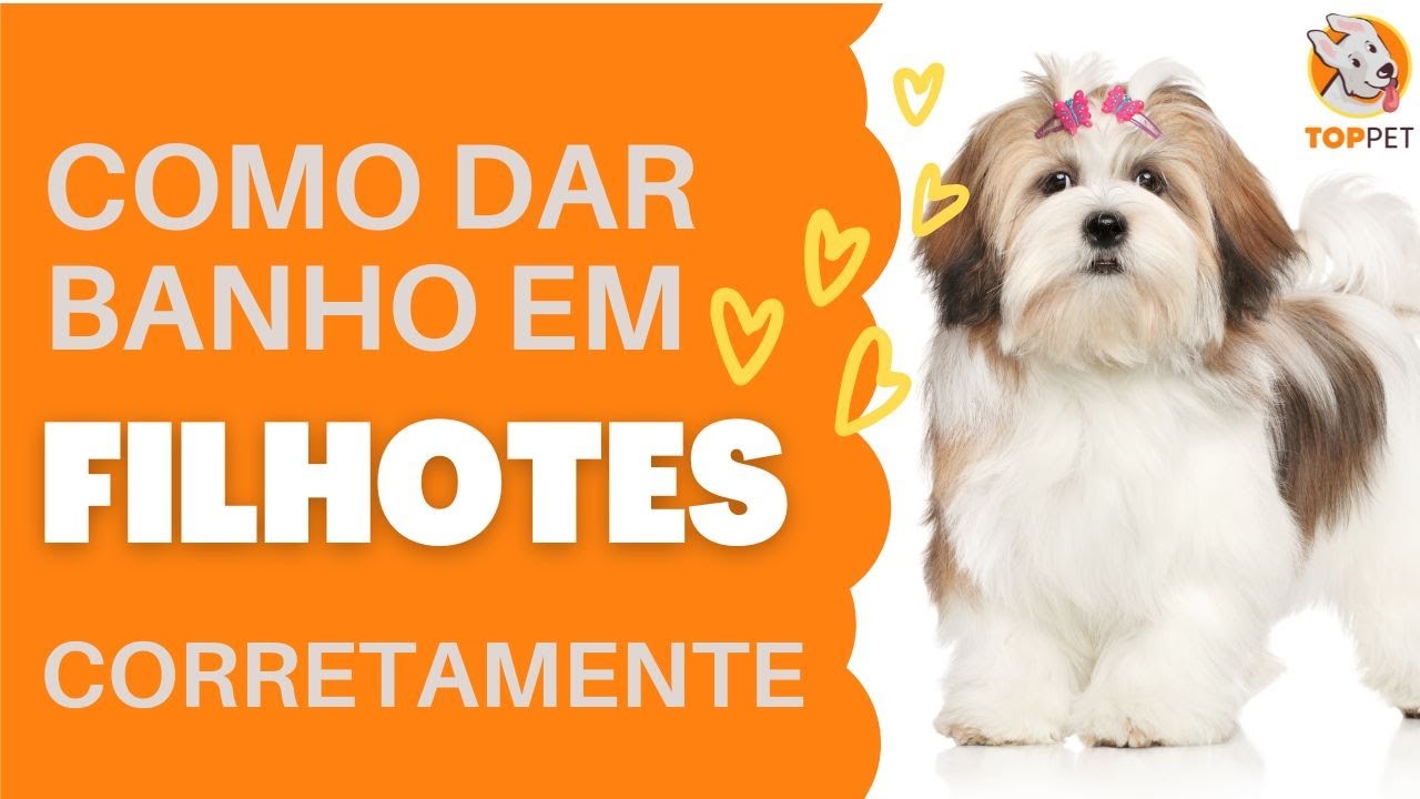[AULA PRÁTICA] Como dar banho em cachorro FILHOTE na sua casa (Shih Tzu)