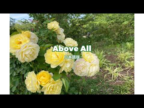 賛美カバー Feat Momo Mei Above All 日本語 力より王より 
