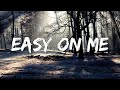 Easy One Me - Adele (Lyrics) || Olivia Rodrigo, Taylor Swift, Charlie Puth (Mix Lyrics)