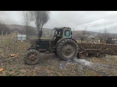 Трактор Т-40 вырывает