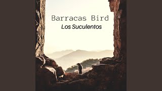 Barracas Bird