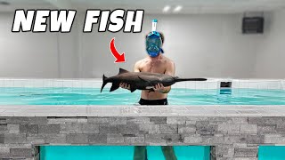 Catching PREHISTORIC FISH for my 8,000G Monster Pond!!