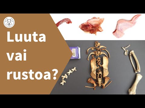 Video: Voiko koira kokonaan korvata Heartwormsilta?