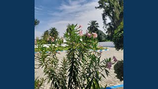 Download Lagu Yang Tersimpan Dalam Diri MP3