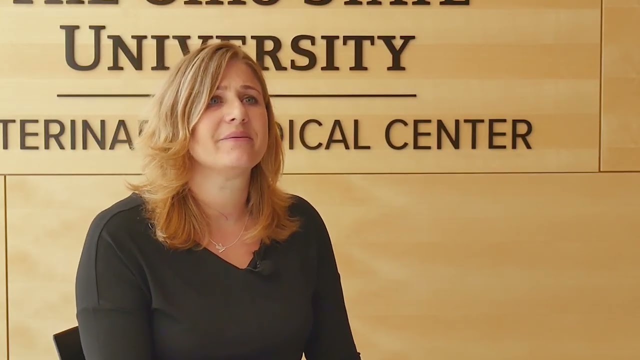 Katie Huter, DVM '15: Small Animal Practice