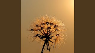 Frequency Bloom