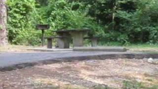 Percy Quin State Park RV Campsites