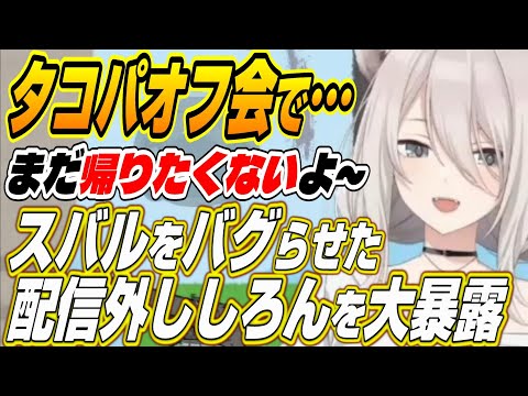 【ホロライブ切り抜き/獅白ぼたん/角巻わため】大空スバルをバグらせた配信外末っ子ししろんを暴露するわためぇ