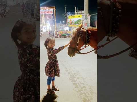 കുഞ്ഞുവിന്റെ  കുതിര#horse love#shorts