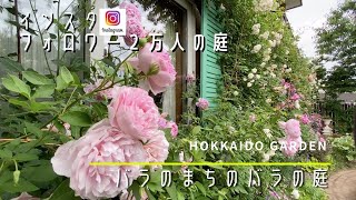 【ガーデニング】「大人気個人庭シリーズ」センス溢れるおしゃれすぎるバラの庭【ガーデナー】【薔薇】