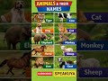 Animals Names in English @Speakuya #animalsnamesinenglish #englishgrammar #vocabulary #english