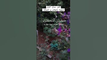 قران كريم| تلاوة خاشعة للقارئ الشيخ ياسر الدوسري ( إن أوهن البيوت لبيت العنكبوت) #قران_كريم #quran