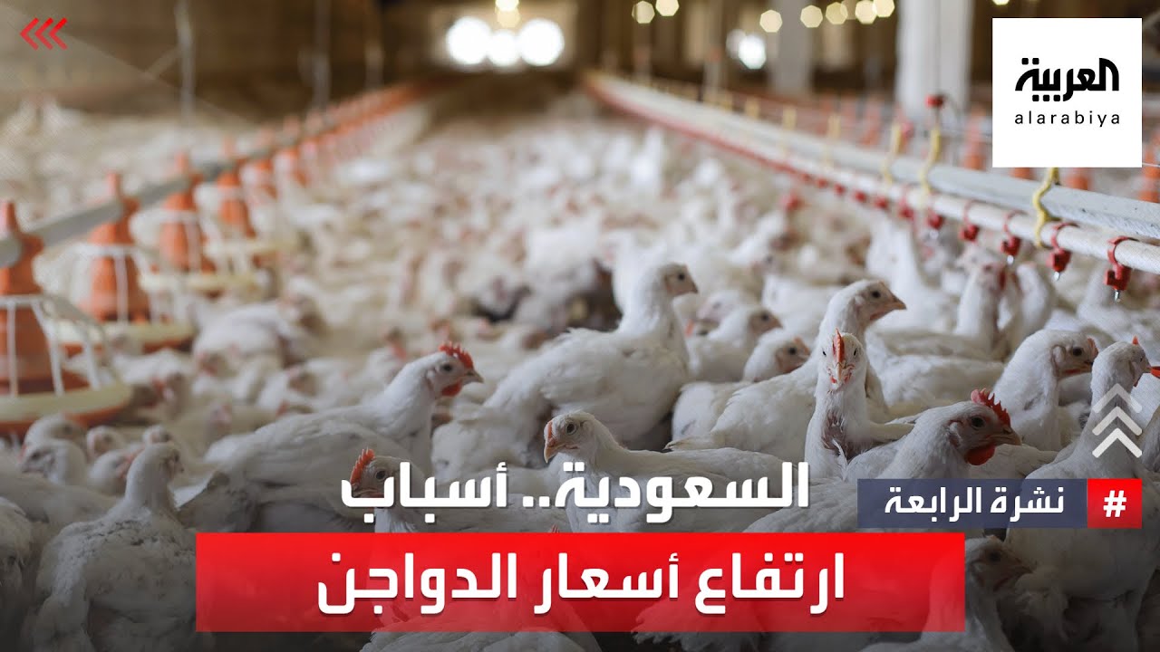‎نشرة الرابعة | ما هي أسباب ارتفاع أسعار الدواجن في السعودية؟