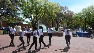 Zeta Phi Beta Sorority, Inc. Lambda Theta Chapter Spring 2023 Yard Show @ USM Profile