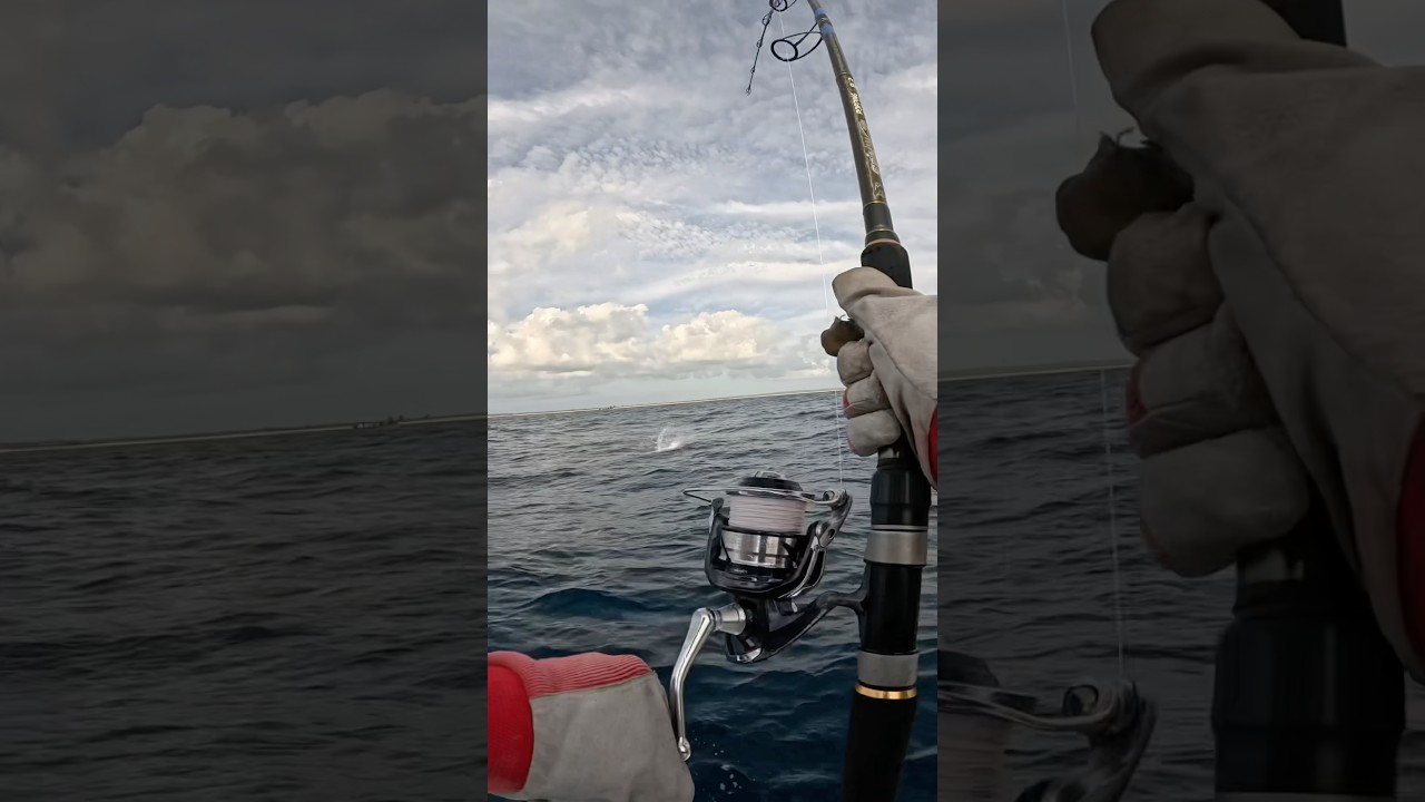 Мощнейшая рыба сожрала мой поппер 😱 🔥💣