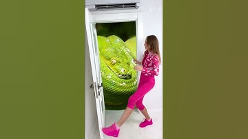 Thumbnail of Don`t Open the door | #Shorts by Anna Kova