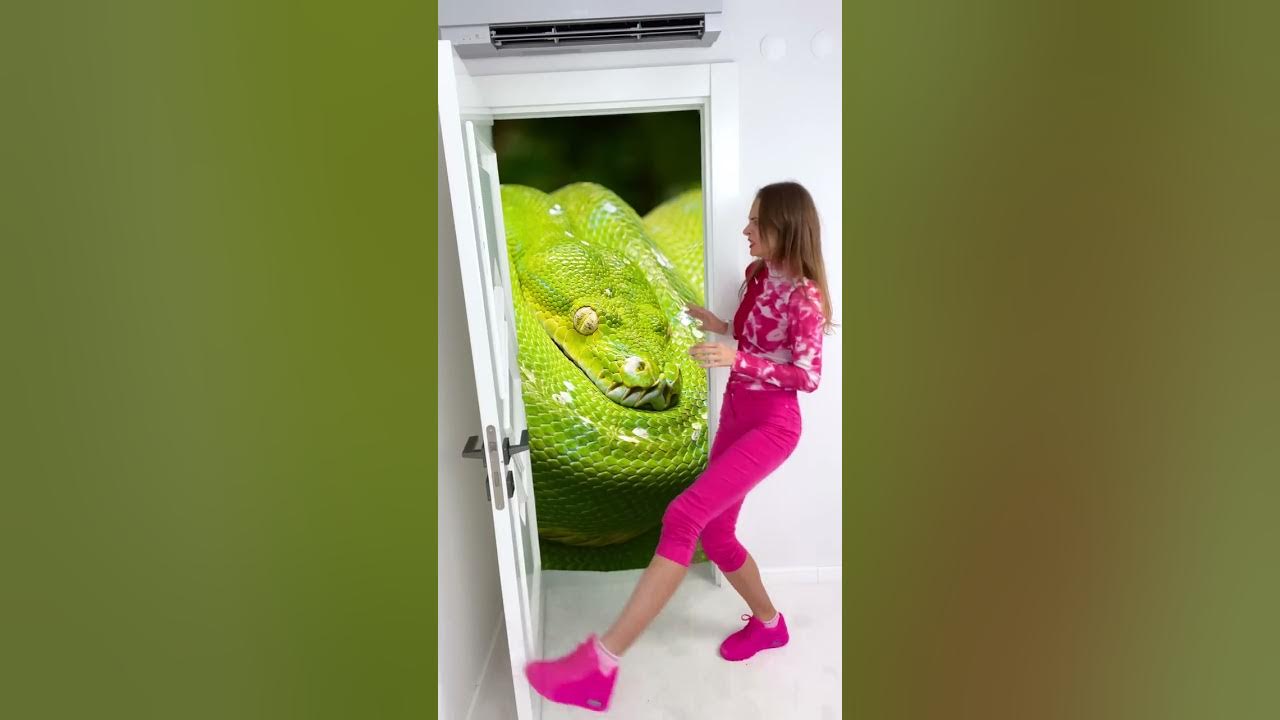 Don`t Open the door | #Shorts by Anna Kova
