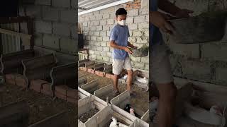 Penambahan Alas Petarangan entok