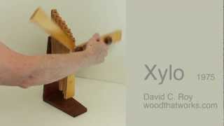 Xylo kinetic toy