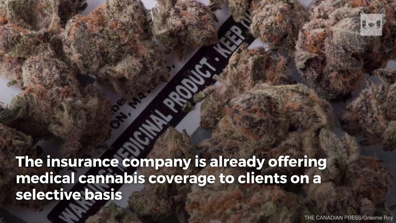 Manulife to offer enhanced medical marijuana insurance