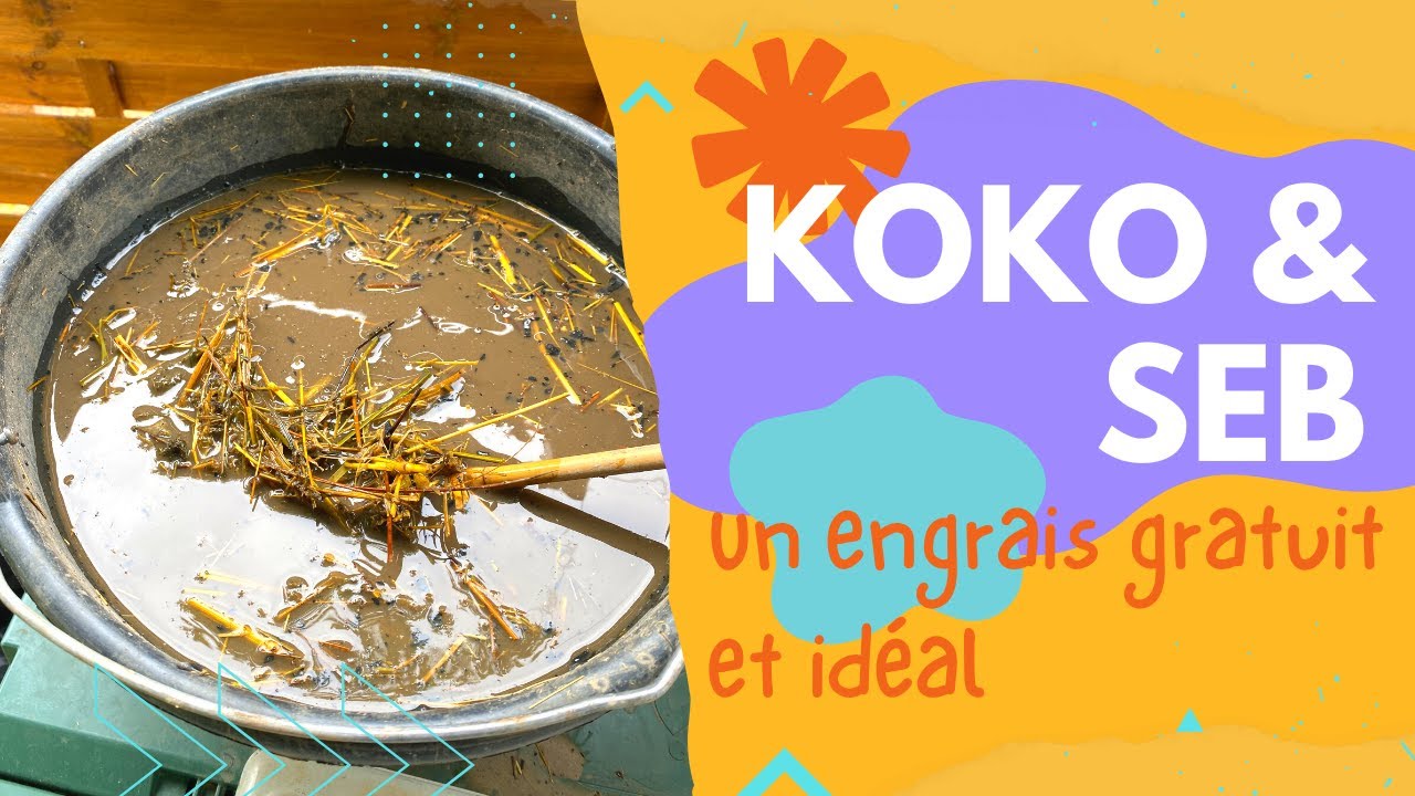 Préparer un engrais gratuit et au top pour de beaux fruits et légumes