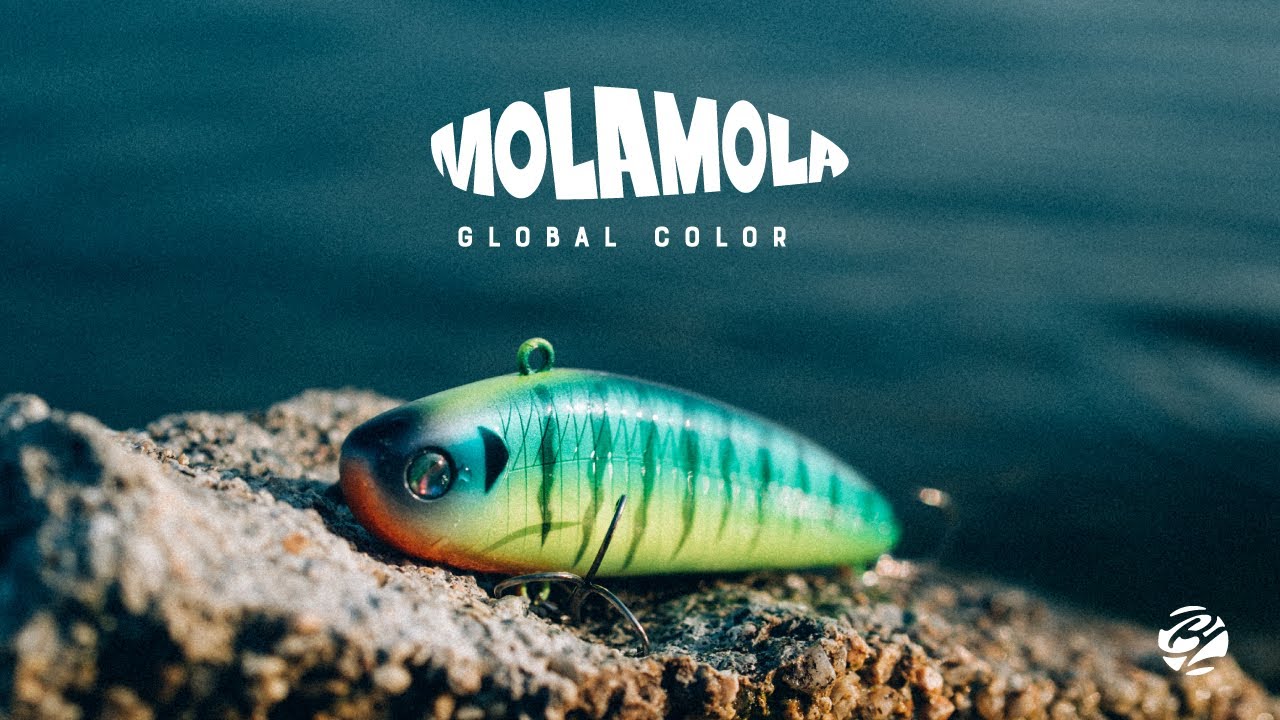 オーパスライブ MOLA MOLA OBASSLIVE