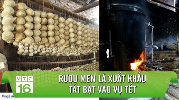RƯỢU MEN LÁ xuất khẩu tất bật vào vụ Tết | VTC16