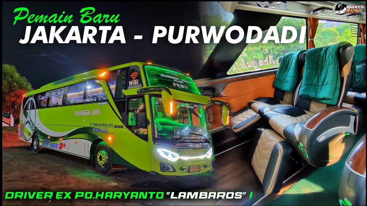 Nyobain Pemain Baru Purwodadi-an 😍 Trip Kalingga Jaya 